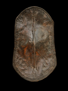 bouclier Ingessana 01